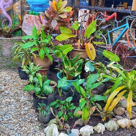 Castaway Native Huts Apartment San Vicente  Luaran gambar