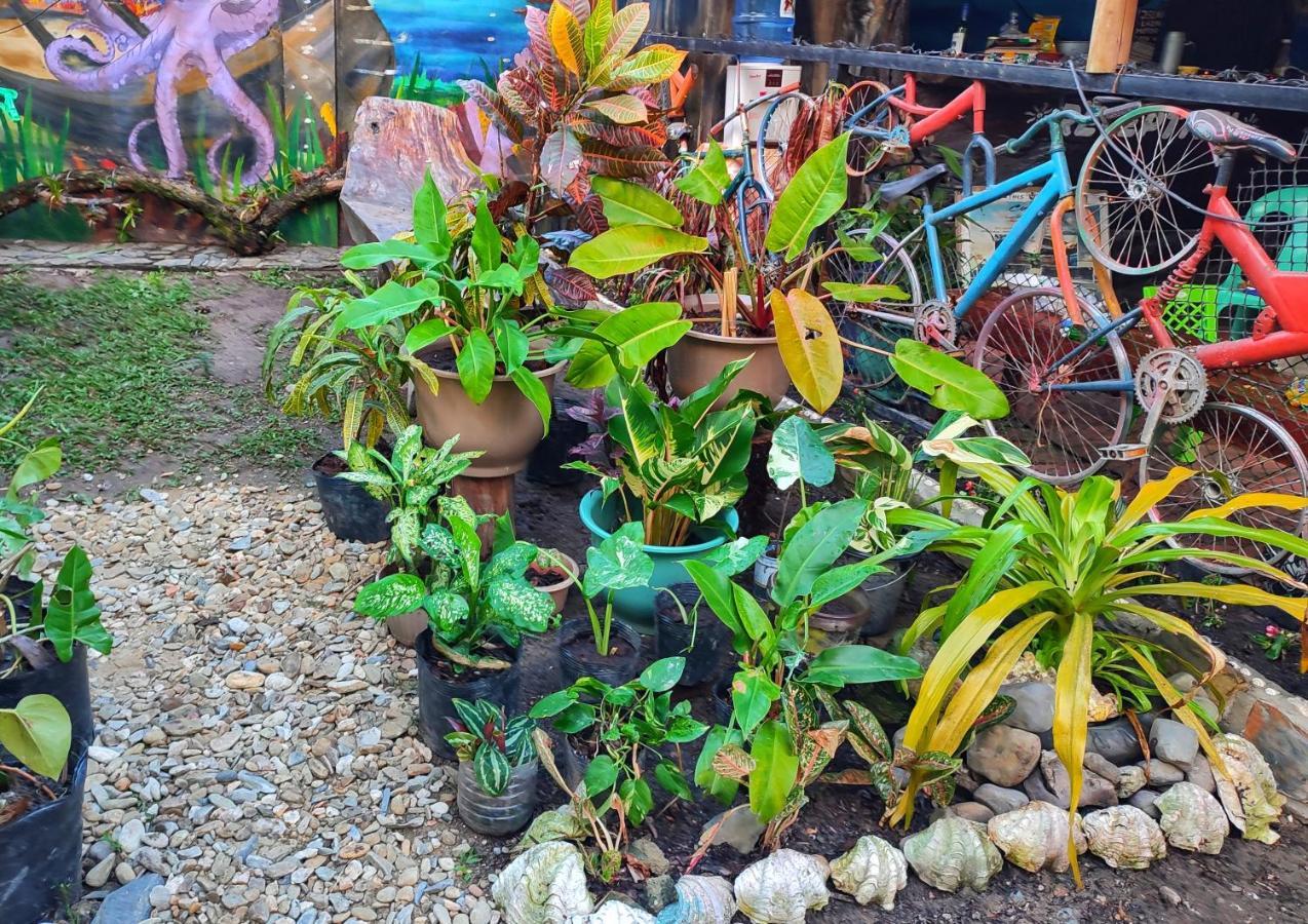 Castaway Native Huts Apartment San Vicente  Luaran gambar